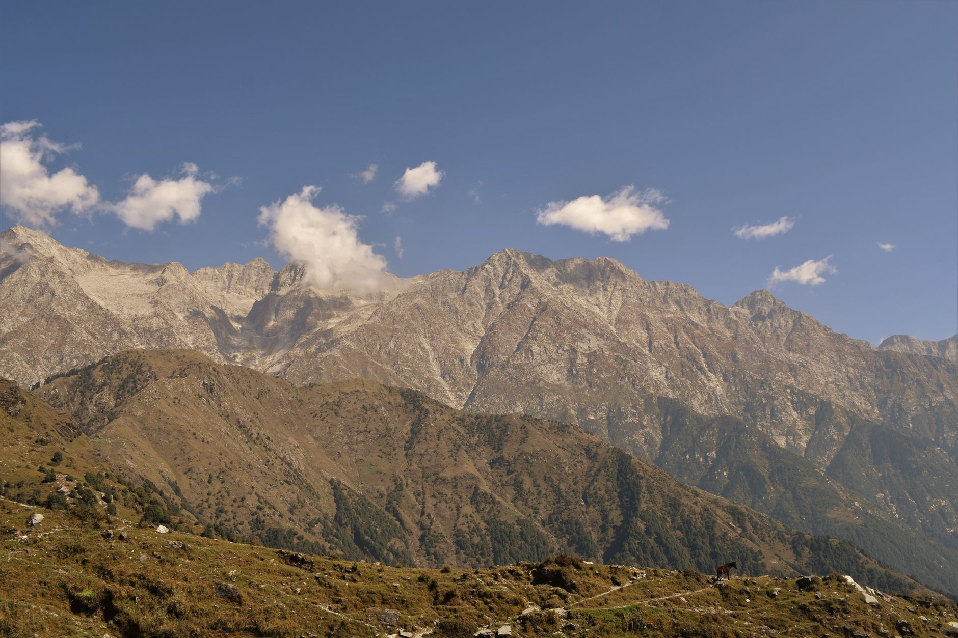 Kangra district — Paragliding Capital — Dharamshala, Tea & Dhauladhar