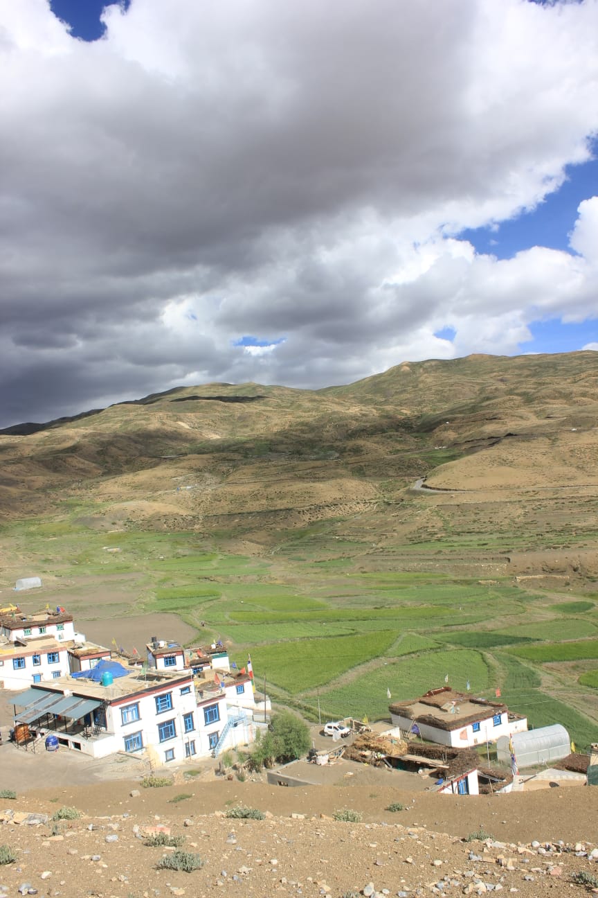 Traditional Spiti village with green fields