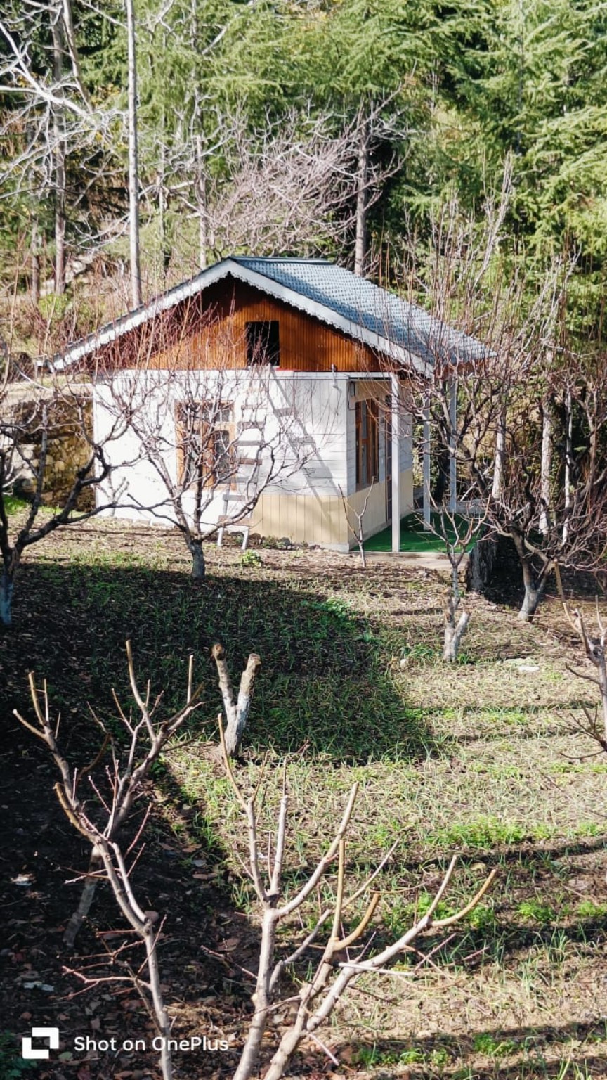 Plum Valley Cottage surrounded by fruit trees in Rajgarh, Sirmour